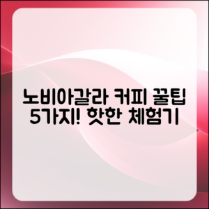 노비아갈라 동촌 커피 체험기 5가지 팁