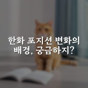 한화 포지션 변화의 배경, 궁금하지?