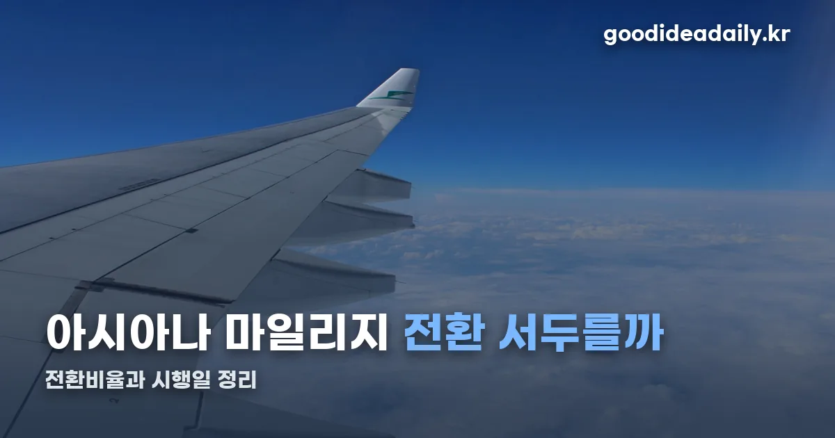 아시아나 마일리지 대한항공 전환 정리 썸네일