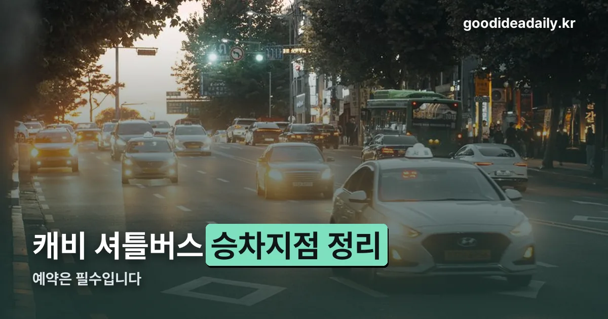 캐비 셔틀버스 정리 썸네일