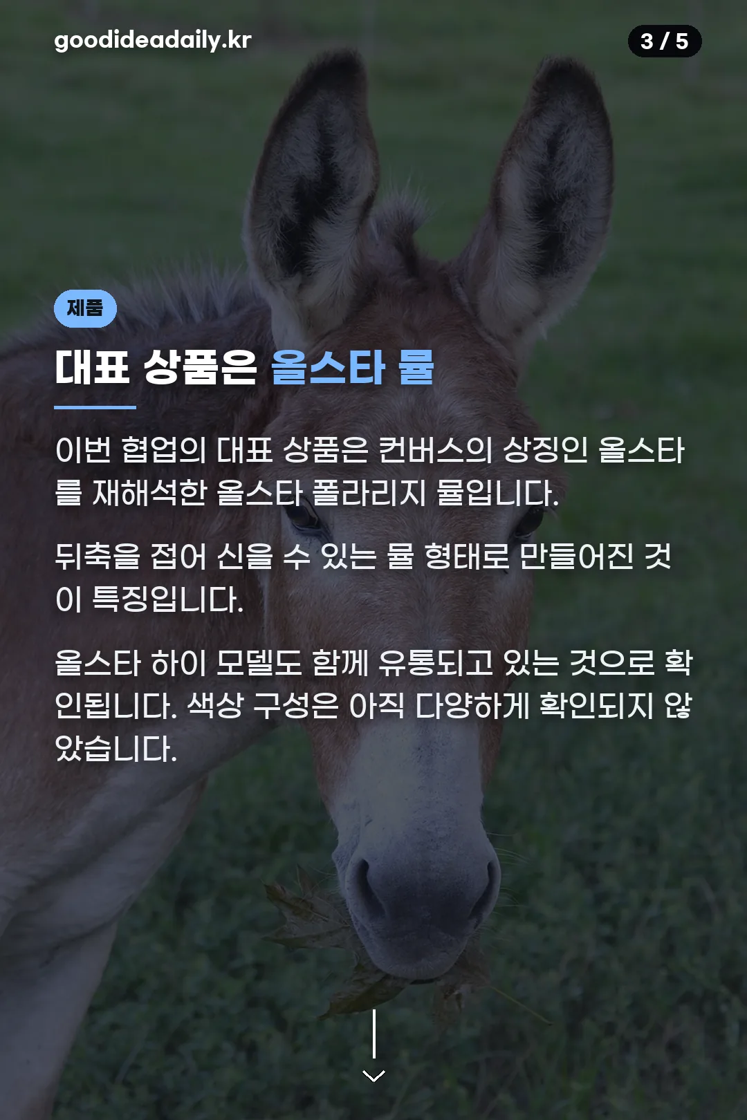 대표 상품 올스타 뮬