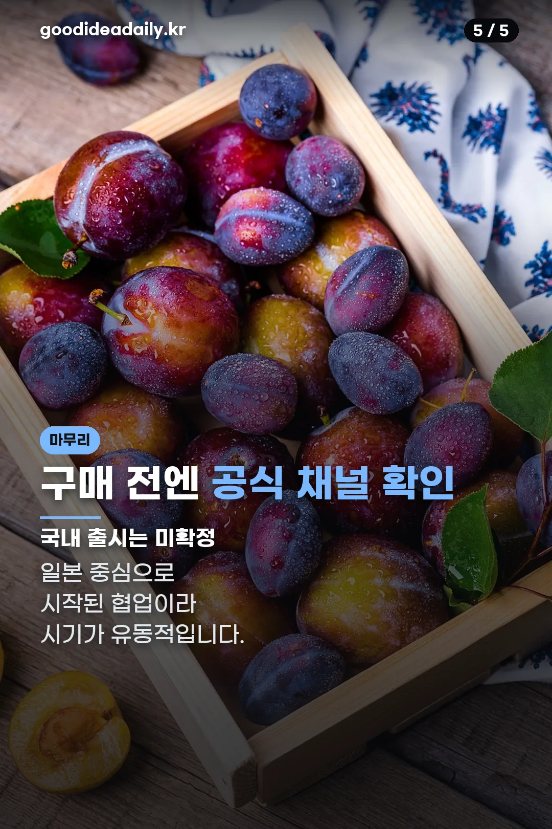 구매 전 확인할 것