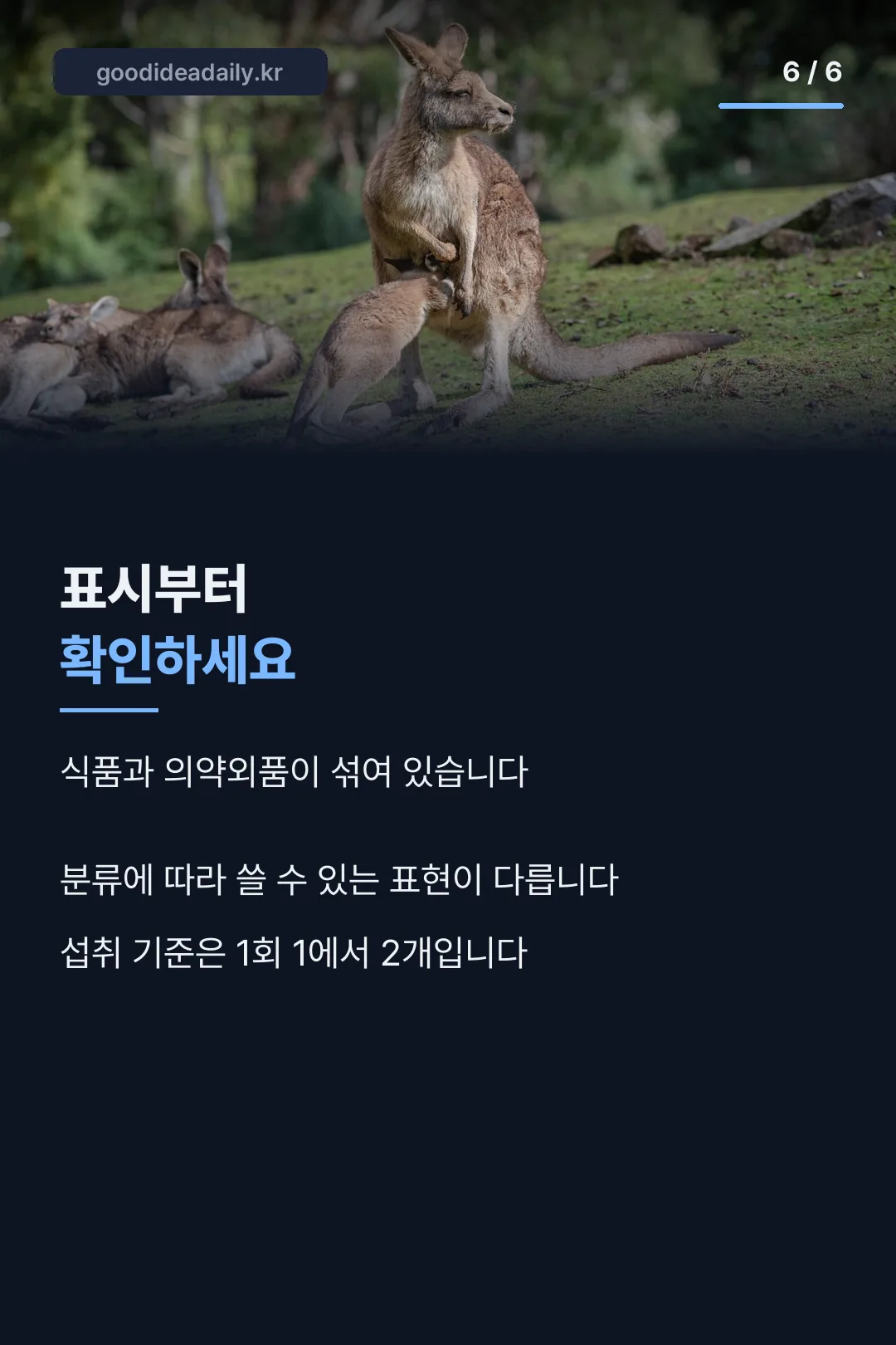 표시 확인 안내