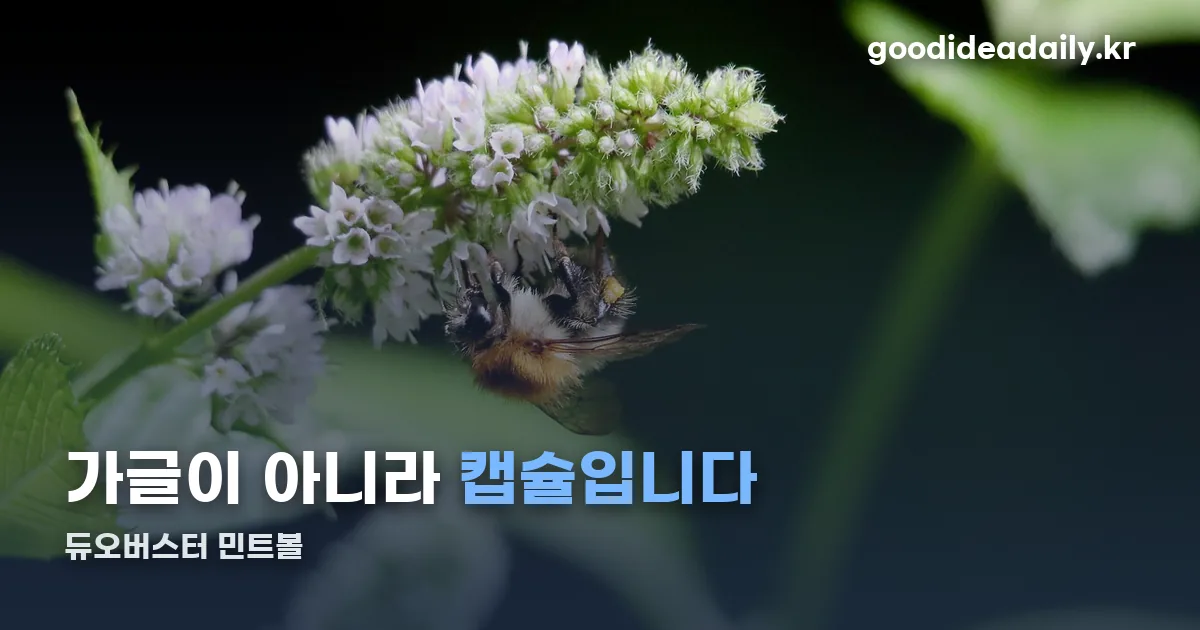 듀오버스터 정리 썸네일