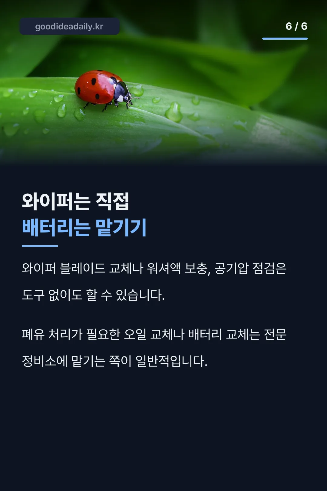 셀프 정비와 전문 정비 구분