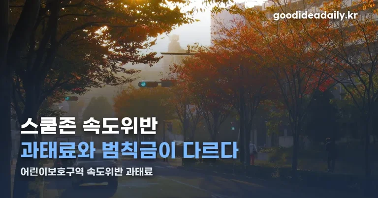 어린이보호구역 속도위반 과태료 정리 썸네일