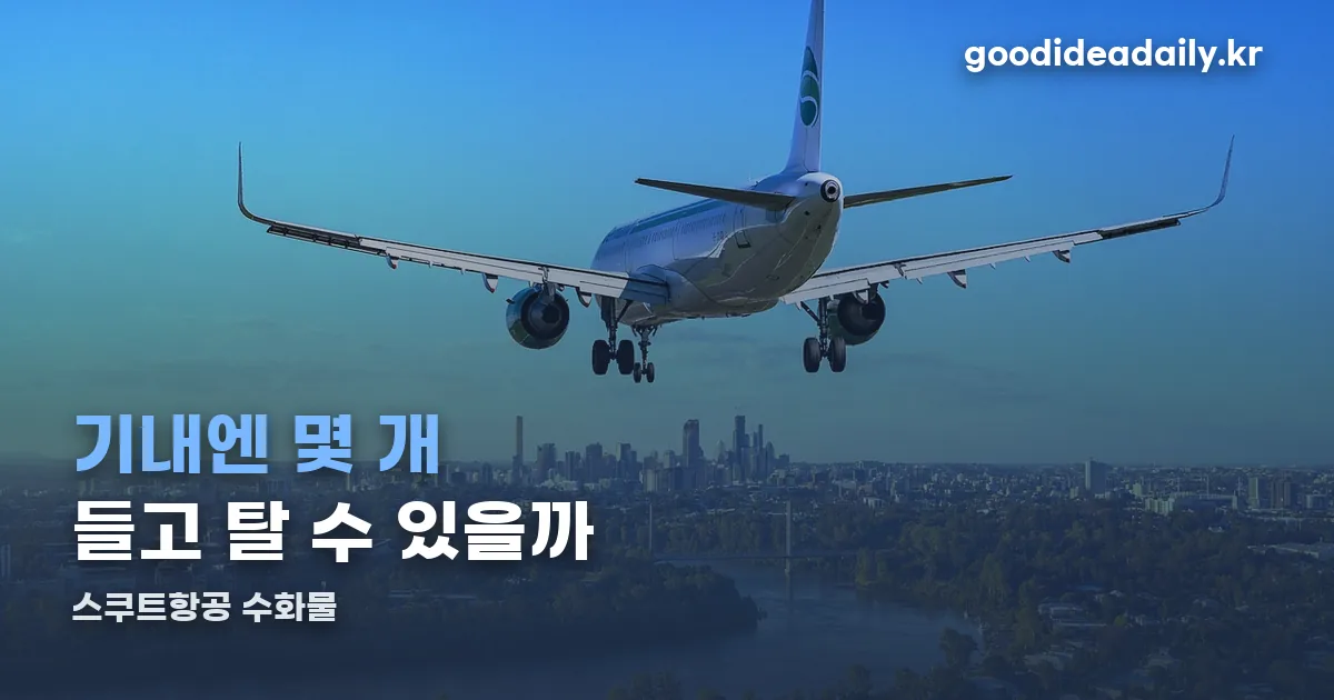 스쿠트항공 수화물 정리 썸네일